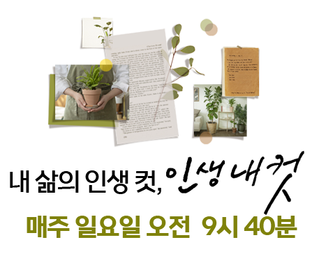 인생내컷
